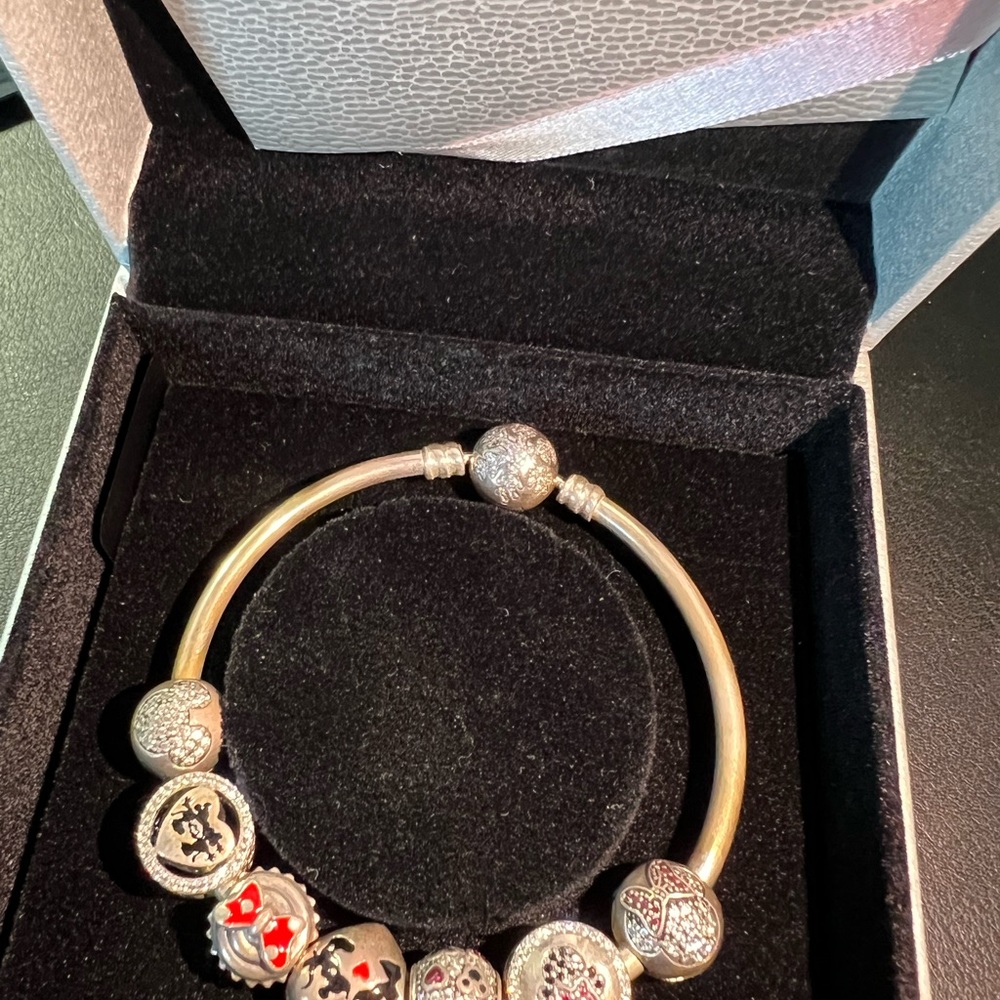Elegant Silver Charm Bracelet